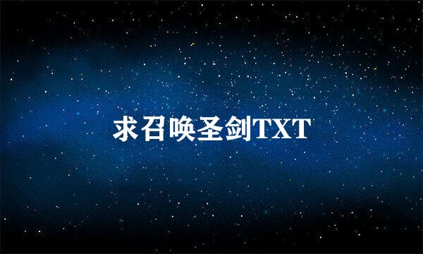 求召唤圣剑TXT