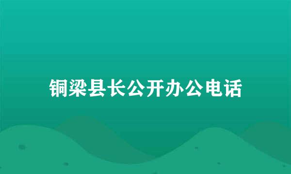 铜梁县长公开办公电话