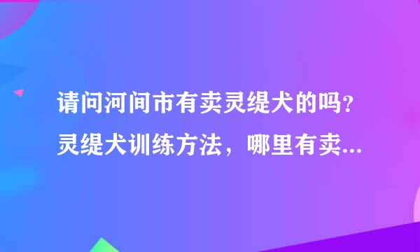 请问河间市有卖灵缇犬的吗？灵缇犬训练方法，哪里有卖灵缇犬的