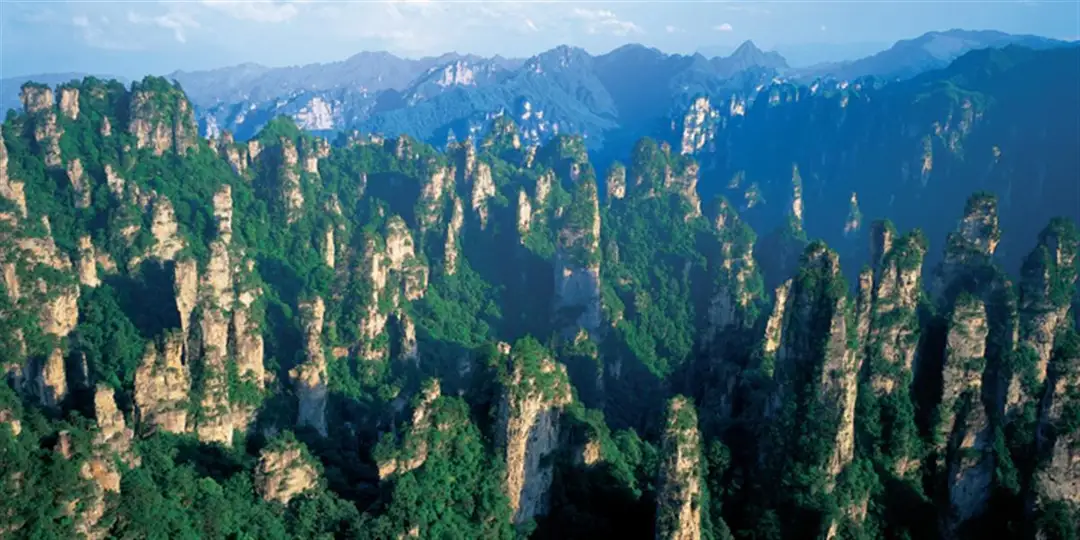 万名游客滞留张家界，当地组织大巴运送旅客回家，旅游业造成了多大的损失？