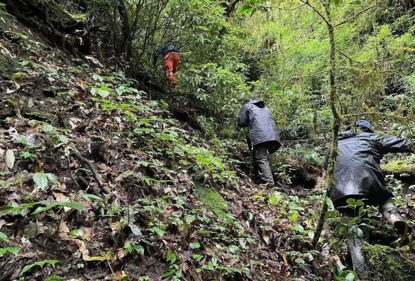 4名哀牢山遇难地质人员身份披露，均当过兵，高素质身体为何会出现意外？