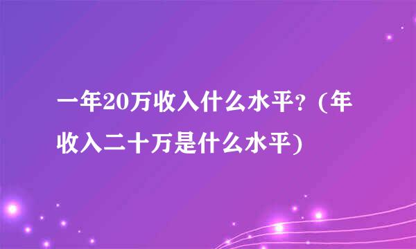 一年20万收入什么水平？(年收入二十万是什么水平)