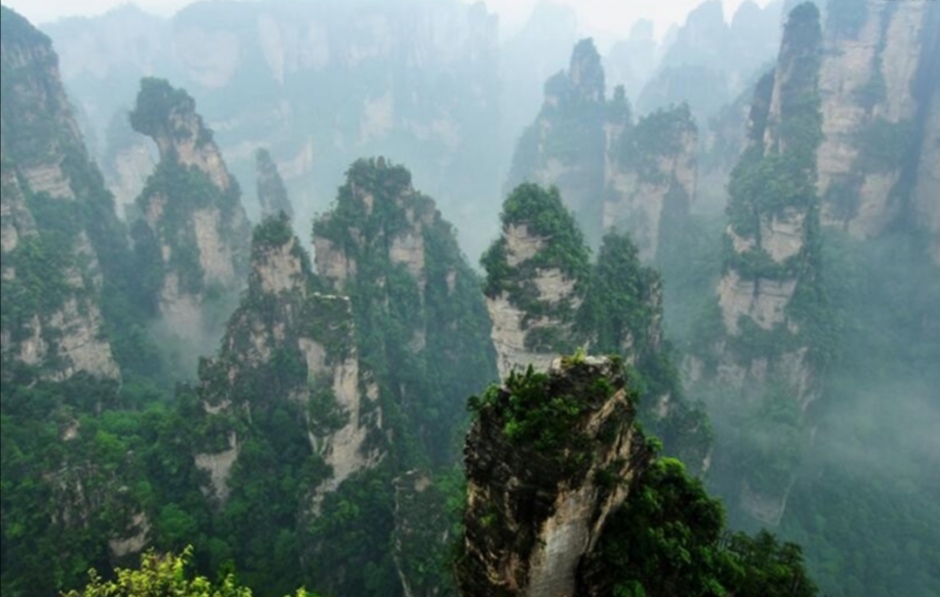 万名游客滞留张家界，当地组织大巴运送旅客回家，旅游业造成了多大的损失？