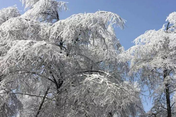 全国性寒潮天气来袭，北方多地将迎今冬初雪，未来还会更冷吗？