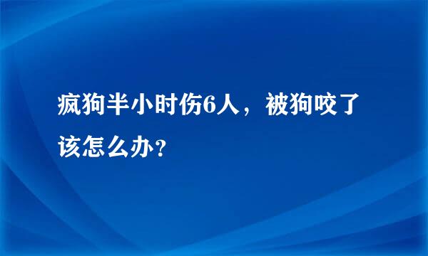 疯狗半小时伤6人，被狗咬了该怎么办？