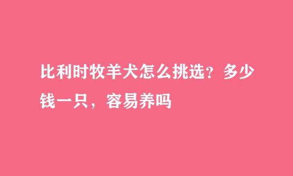 比利时牧羊犬怎么挑选？多少钱一只，容易养吗