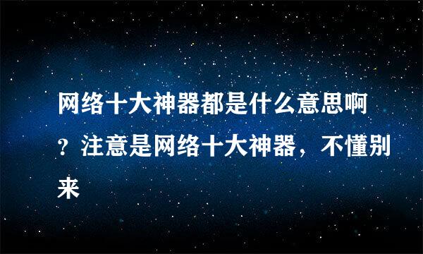 网络十大神器都是什么意思啊？注意是网络十大神器，不懂别来