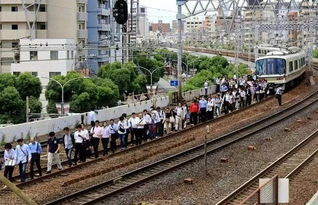 日本千叶县发生6.1级地震，东京震感明显，此次地震造成了哪些影响？