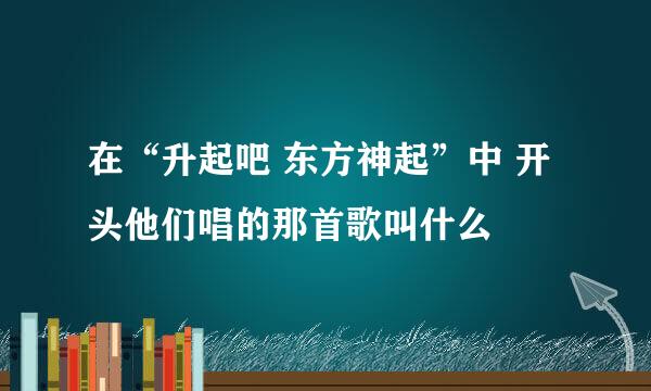 在“升起吧 东方神起”中 开头他们唱的那首歌叫什么