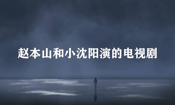 赵本山和小沈阳演的电视剧