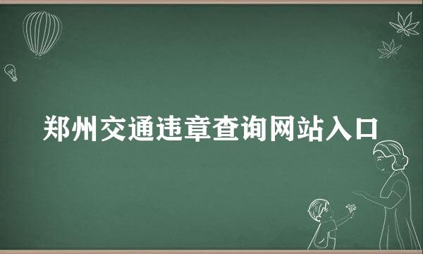 郑州交通违章查询网站入口