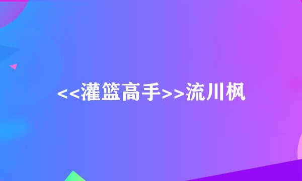 <<灌篮高手>>流川枫