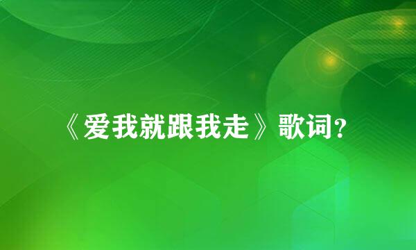 《爱我就跟我走》歌词？