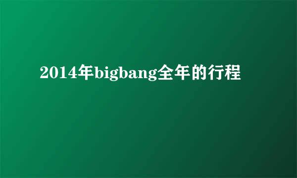 2014年bigbang全年的行程