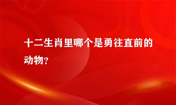 十二生肖里哪个是勇往直前的动物？