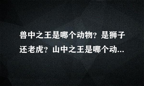 兽中之王是哪个动物？是狮子还老虎？山中之王是哪个动物？是老虎还是狮子？