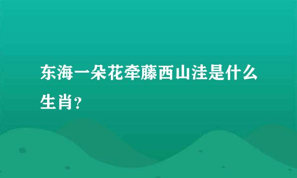 东海一朵花牵藤西山洼是什么生肖？