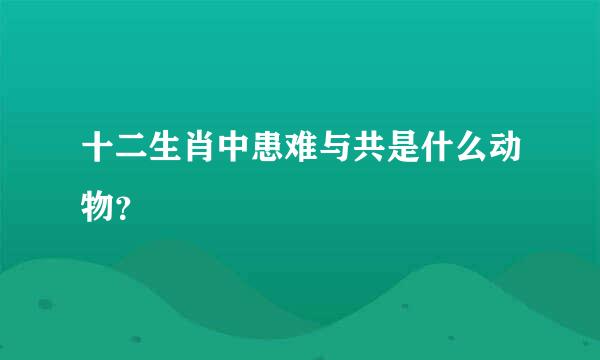 十二生肖中患难与共是什么动物？