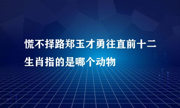 慌不择路郑玉才勇往直前十二生肖指的是哪个动物