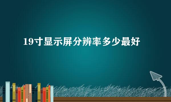 19寸显示屏分辨率多少最好