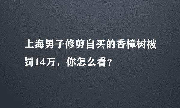 上海男子修剪自买的香樟树被罚14万，你怎么看？