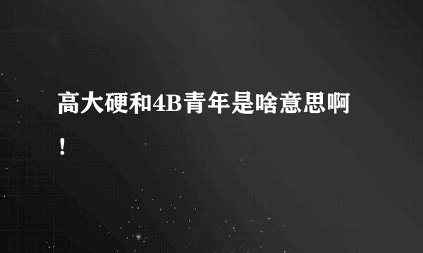 高大硬和4B青年是啥意思啊！