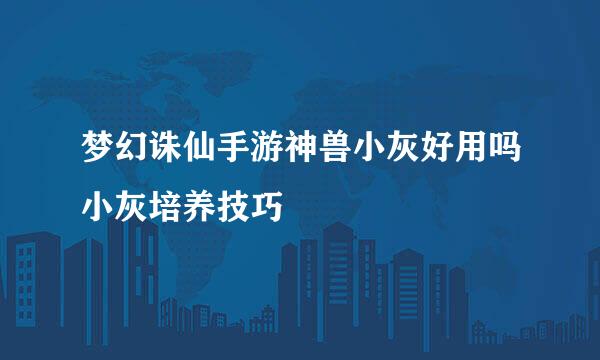 梦幻诛仙手游神兽小灰好用吗小灰培养技巧