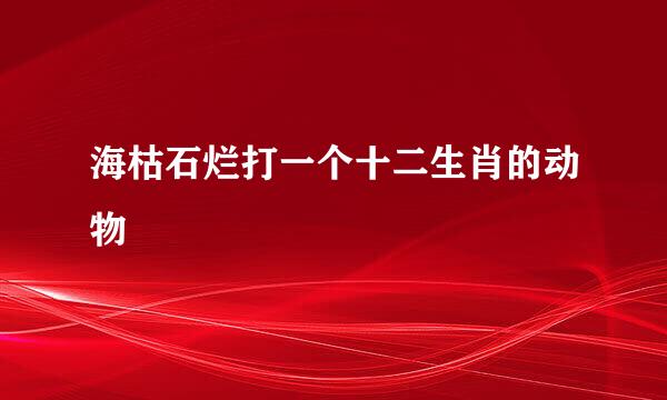 海枯石烂打一个十二生肖的动物