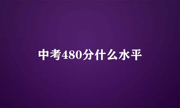 中考480分什么水平