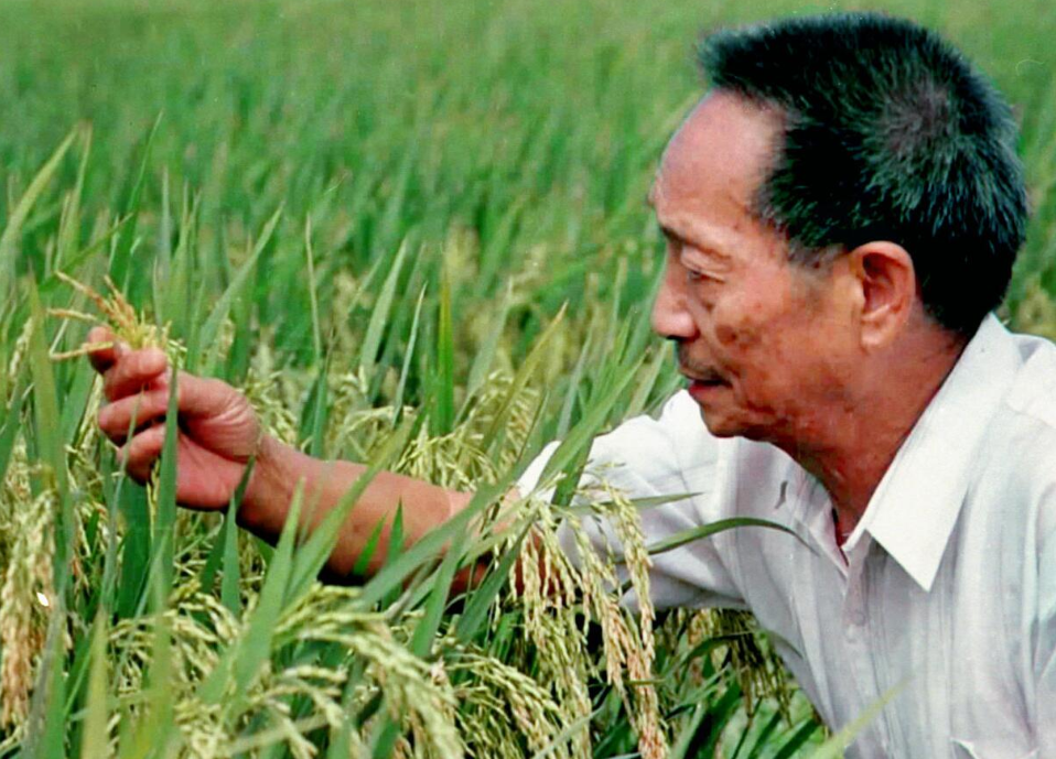 袁隆平是哪里人