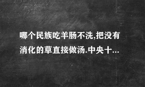 哪个民族吃羊肠不洗,把没有消化的草直接做汤.中央十频道演过的