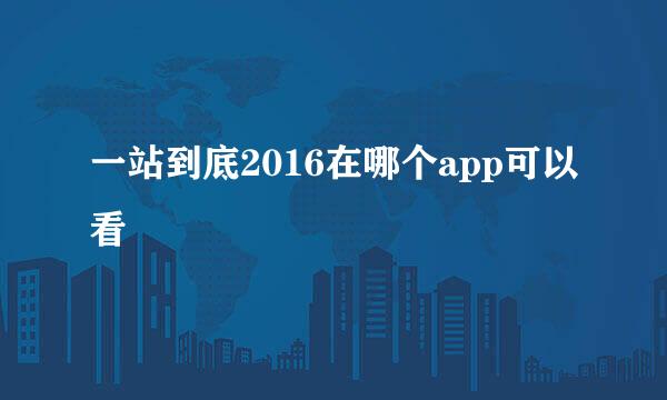 一站到底2016在哪个app可以看