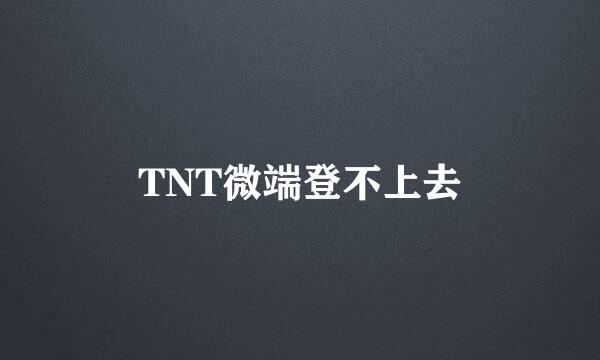 TNT微端登不上去