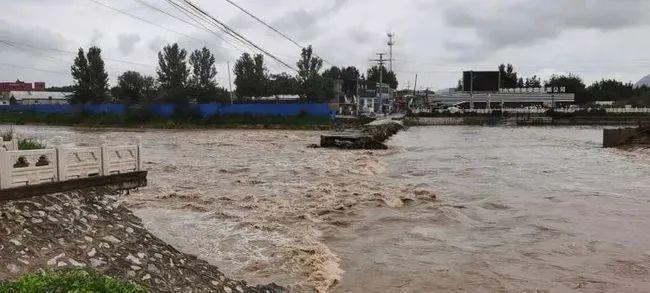 郑州暴雨中跪地救人的试工医生被直接录用，当时他还有过哪些壮举？