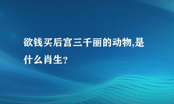 欲钱买后宫三千丽的动物,是什么肖生？