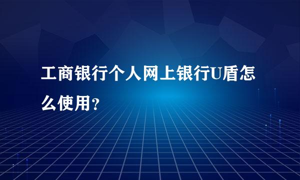 工商银行个人网上银行U盾怎么使用？