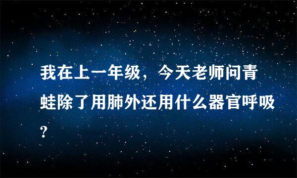 我在上一年级，今天老师问青蛙除了用肺外还用什么器官呼吸?