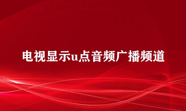 电视显示u点音频广播频道