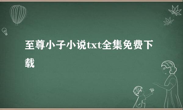 至尊小子小说txt全集免费下载