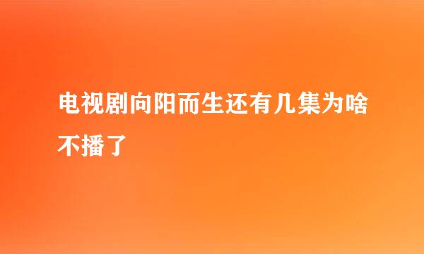 电视剧向阳而生还有几集为啥不播了