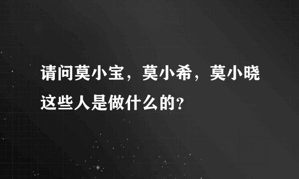 请问莫小宝，莫小希，莫小晓这些人是做什么的？