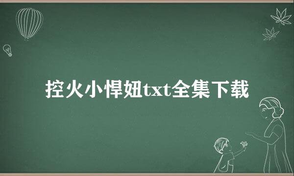 控火小悍妞txt全集下载