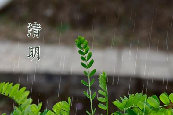 今年清明节学校怎么放假