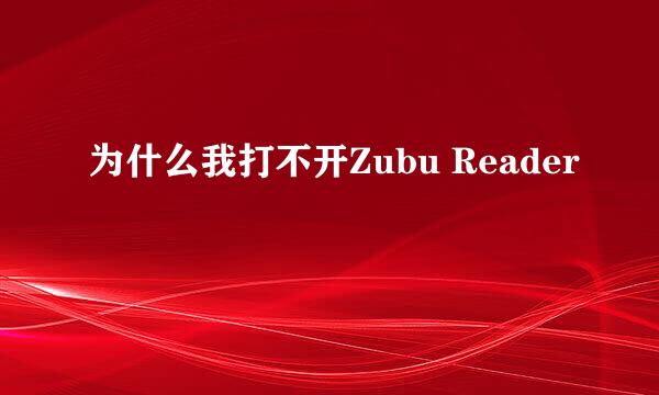 为什么我打不开Zubu Reader