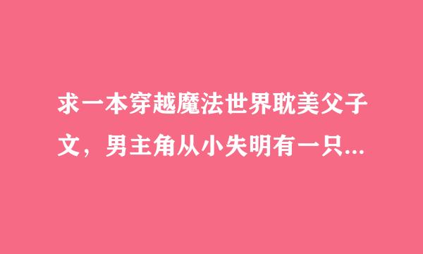 求一本穿越魔法世界耽美父子文，男主角从小失明有一只鸟为他引路且不能学习魔法，他父亲将他送去森林并