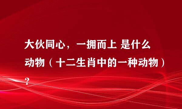 大伙同心，一拥而上 是什么动物（十二生肖中的一种动物）？