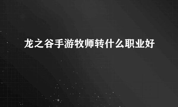 龙之谷手游牧师转什么职业好