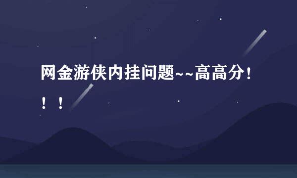 网金游侠内挂问题~~高高分！！！