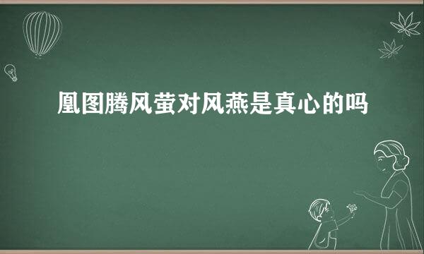 凰图腾风萤对风燕是真心的吗