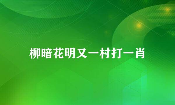 柳暗花明又一村打一肖